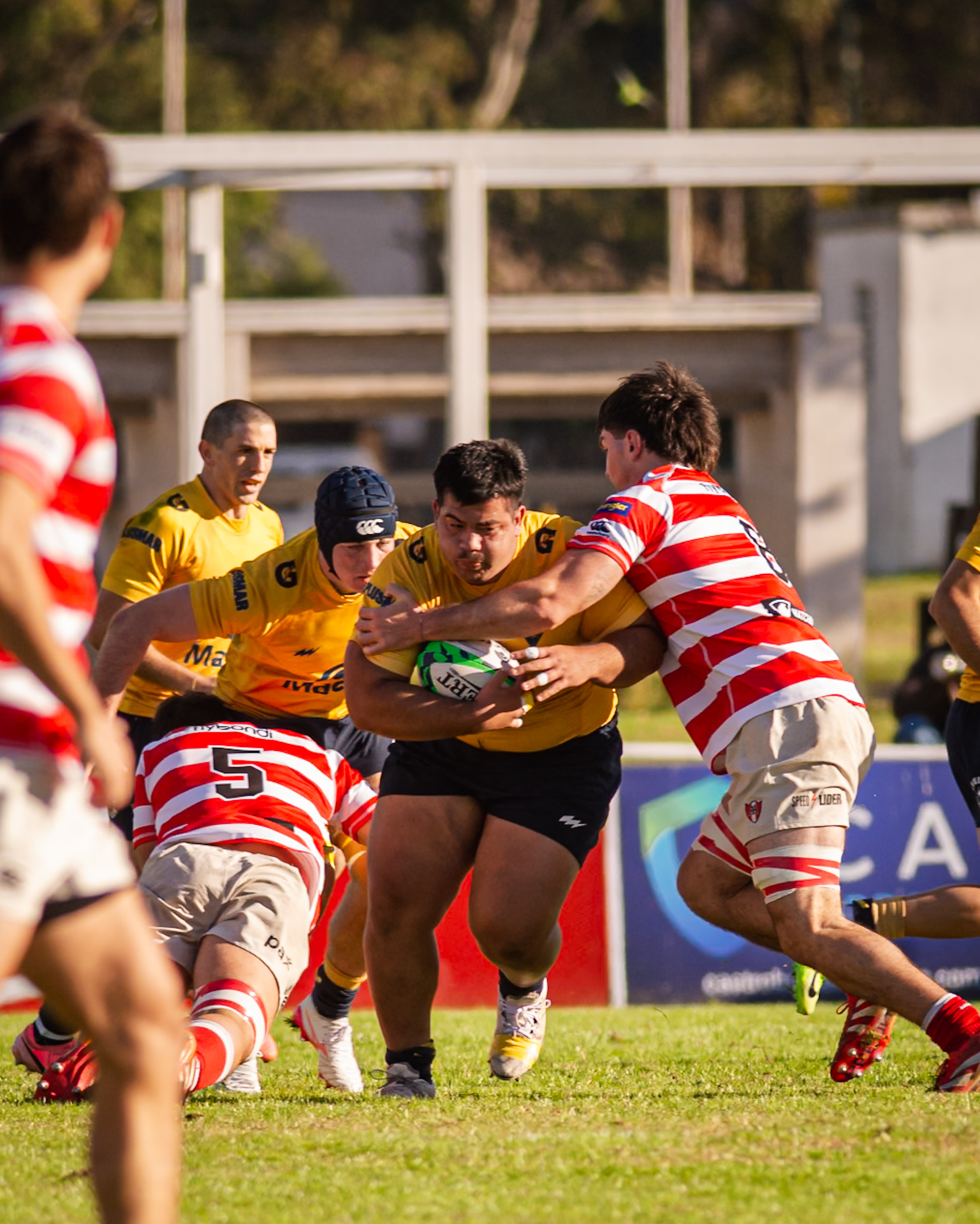 Imagen LPRC
